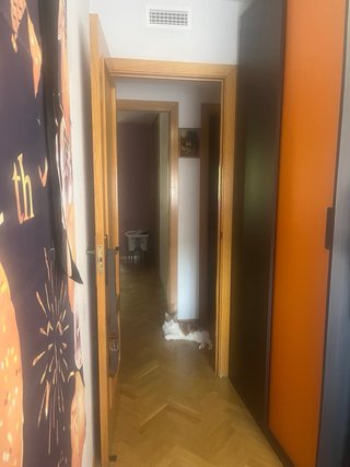 Habitación juvenil completa
