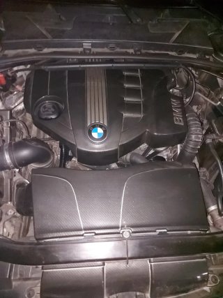 BMW Serie 3 2009