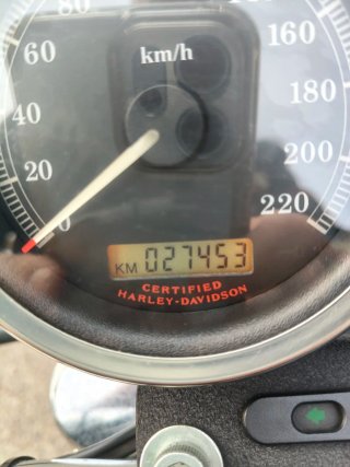 Harley Davidson Sportster 1200 Roadster XL 2006