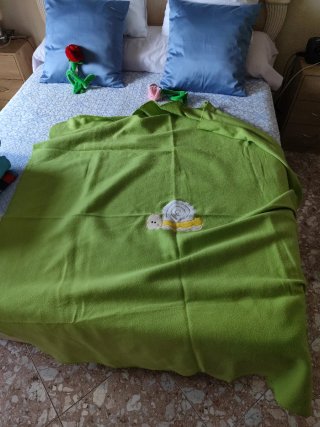Mantas de bebé Nickelodeon y más.