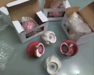 Set Lotto di 20 pezzi (10 set completi)