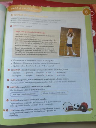 Lengua castellana, 5 Primaria
