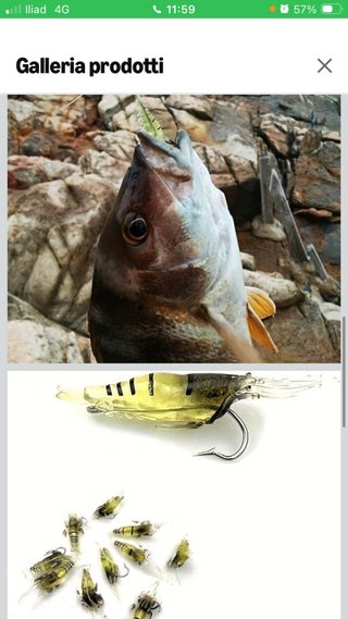 Esche gamberetti artificiali da pesca 20 PEZZI