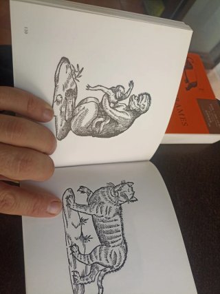 Lote de libros de diseño