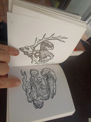 Lote de libros de diseño