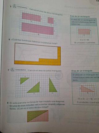 Lote Libros 4 Primaria ANAYA Mate, Lengua y Lingua