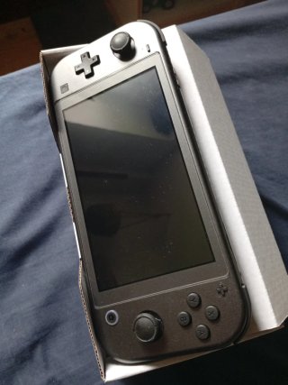 Nintendo Switch Lite Dialga Palkia Edición