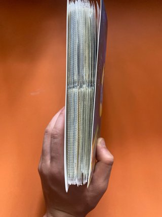 Álbum Cartas Pokémon Charizard Card File “completo