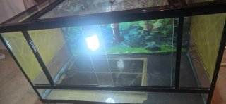 Terrario completo