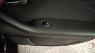 Panel Puerta Audi A4 B7
