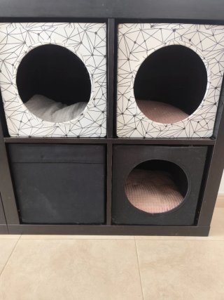 1 Mesa de centro negra y 5 estanterías