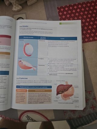 Técnicas básicas de enfermería