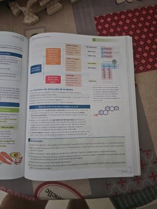 Técnicas básicas de enfermería