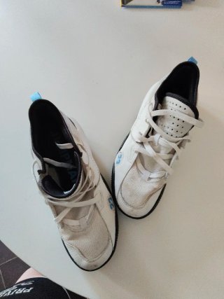 Zapatillas Jordan Blancas y Azules