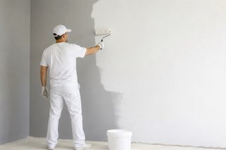 Servicio de Pintor profesional casas y pisos.