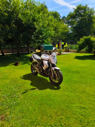 Kawasaki ER6N 2008 ABS