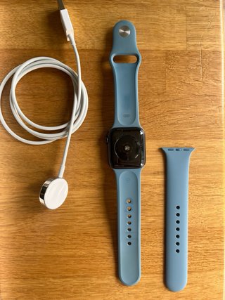 Apple Watch SE GPS 1ª Gen Space Gray/correa azul