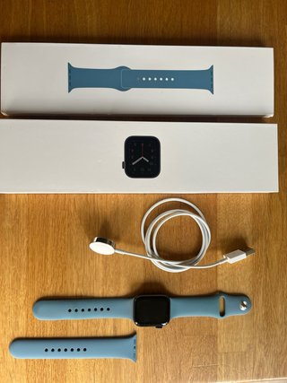 Apple Watch SE GPS 1ª Gen Space Gray/correa azul
