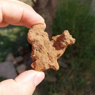 Fósil Coprolito de Madagascar 5,9cm