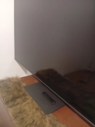 Televisor Samsung 65 Negro/Plata