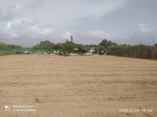 Terreno rústico en Oliva 1400 m²