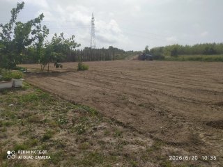 Terreno rústico en Oliva 1400 m²