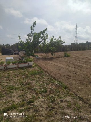 Terreno rústico en Oliva 1400 m²