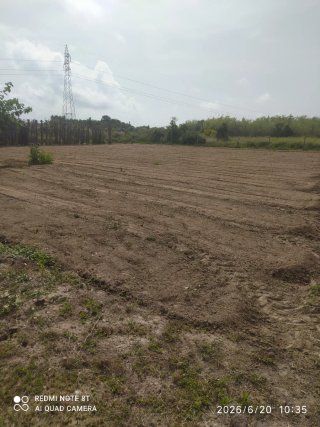 Terreno rústico en Oliva 1400 m²