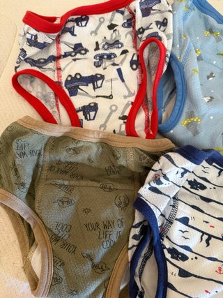 Lote 6 Pañales Lavables Talla 3-5