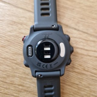 Reloj Garmin Forerunner 55 Negro/Gris