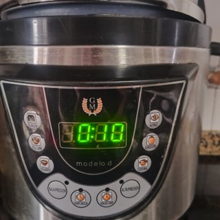 Olla Programable GM Modelo D