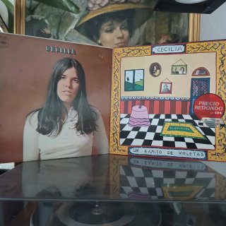 Lote de 2 Vinilos: Cecilia y Un Ramito de Violetas