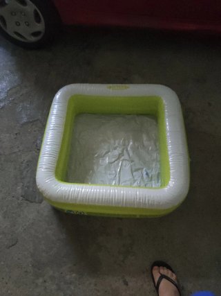 Piscina hinchable infantil verde y blanca