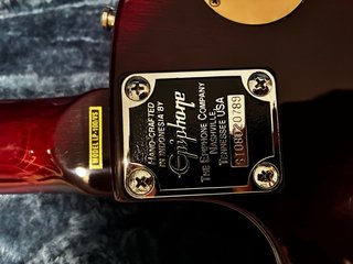 Epiphone Les Paul 100 con estuche y correa