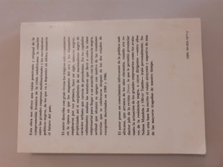 Negro y Oro (Spanish Edition)