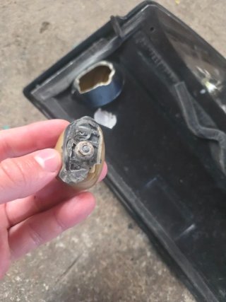 Alerón Cupra