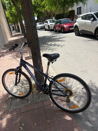 Bicicleta Specialized Expedition Taglia S