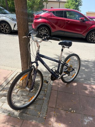 Bicicleta Specialized Expedition Taglia S