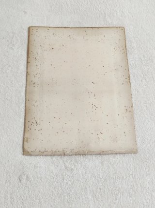 Lámina "La Belle du Titien (Laura de’ Dianti)"
