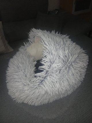 Letto per cani piccoli con pelo morbido