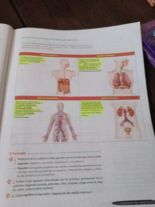 Biología y Geología 3º ESO. Libro del estudiant...