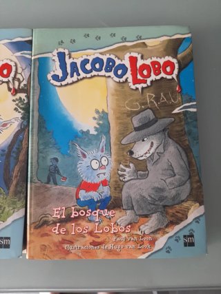Colección Jacobo Lobo