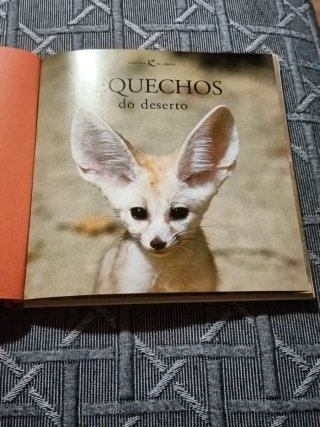 Pequechos do deserto