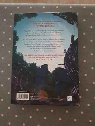 L'última bruixa 2 - La venjança de les meigues