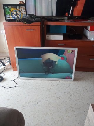 LG 28TN515S-WZ  EAX69105803(1.0)