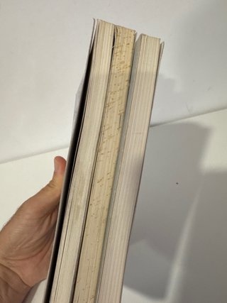 Lote 3 libros serie Ambar. Futuropolis