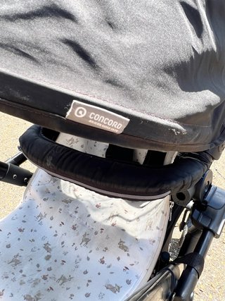 Carrito de bebé negro