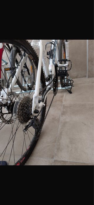Bicicleta Marin Mujer