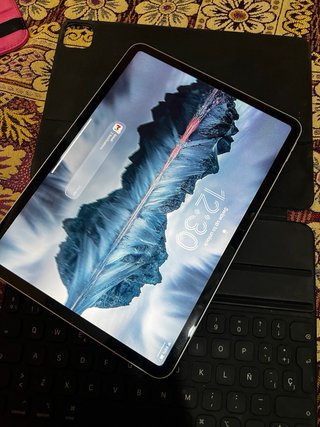 iPad Pro 11 M2 256GB Plata