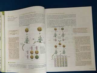Biología y Geología 4 ESO. ISBN: 9788448639228